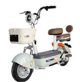RC-G1.5 Electric Bicycles